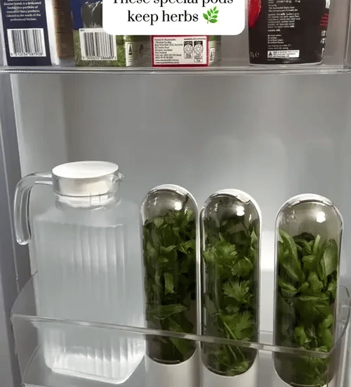 1 + 2 GRATIS IDAG HerbPodâ˘