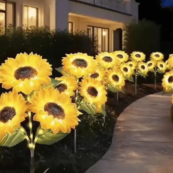 1 + 1 GRATIS IDAG SolarBloom™