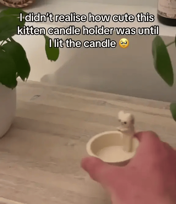 1 + 1 GRATIS IDAG FelineFlameâą