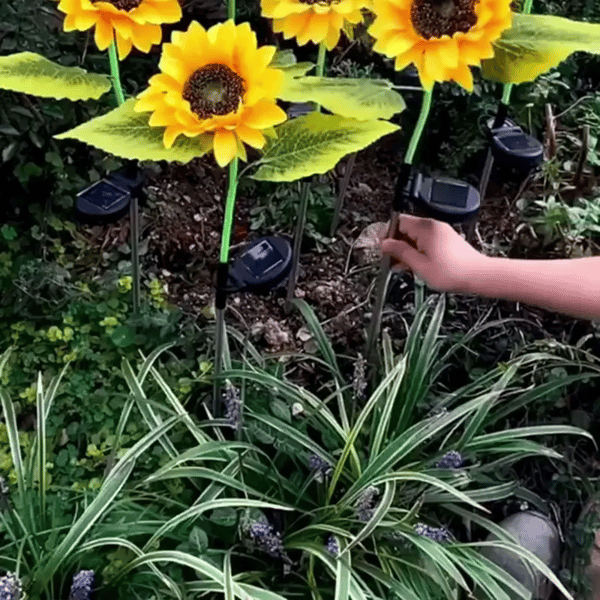 1 + 1 GRATIS IDAG SolarBloom™