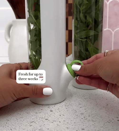 1 + 2 GRATIS IDAG HerbPodâ˘