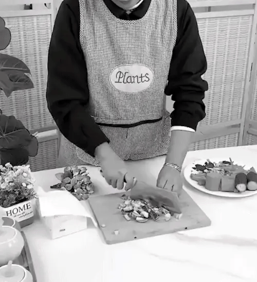 TILLFÄLLIGT 50% RABATT ChopMaster™