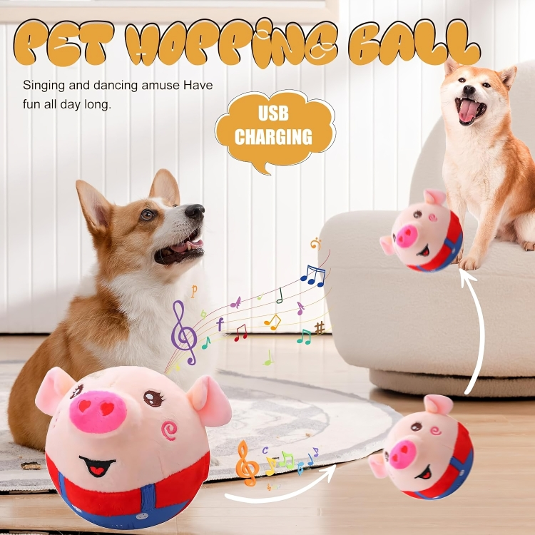 BarkBounce⹠| En leksak som din hund aldrig kommer att vilja lÀmna ifrÄn sig!