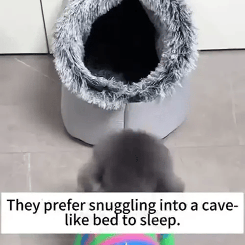 TILLFÄLLIGT 50% OFF SnugPod™