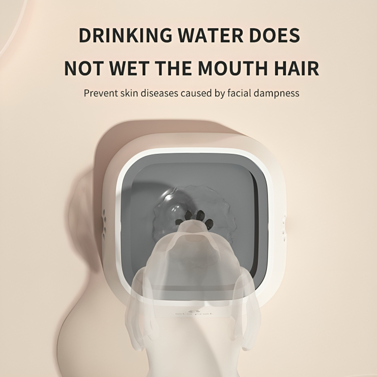 TILLFĂLLIGT 50% RABATT | GentleSipâą | StĂ€nkskyddad vattenskĂ„l för husdjur