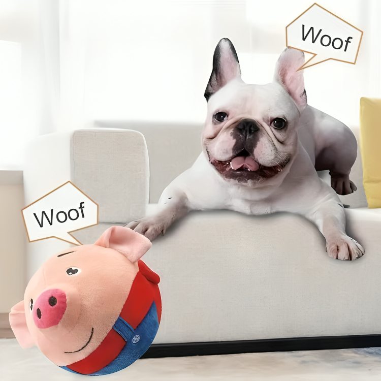 BarkBounce⹠| En leksak som din hund aldrig kommer att vilja lÀmna ifrÄn sig!