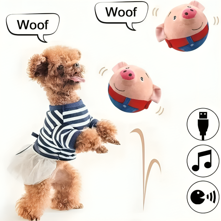 BarkBounce⹠| En leksak som din hund aldrig kommer att vilja lÀmna ifrÄn sig!