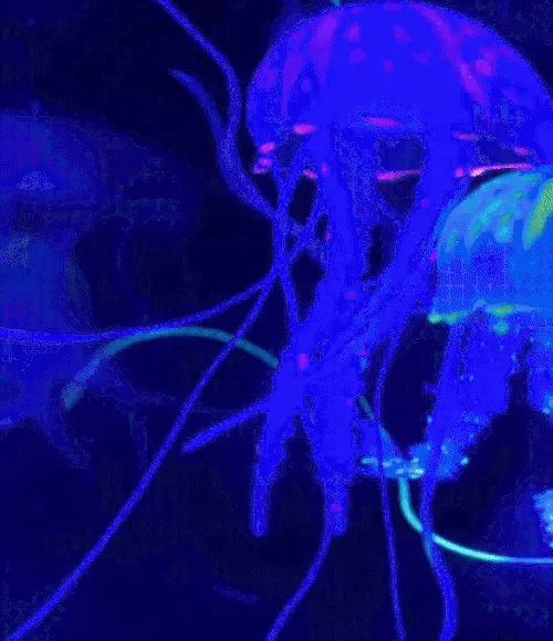 TILLFÄLLIGT 50% RABATT GlowQuatic™