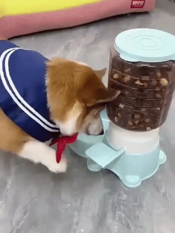 TILLFÄLLIGT 50% OFF  PawSmart™