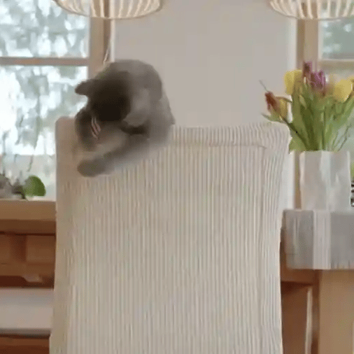 TILLFÄLLIGT 50% OFF  ScratchSeat™