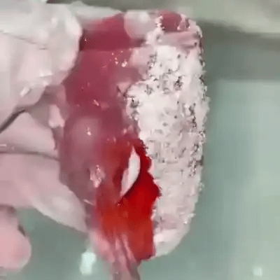 TILLFÄLLIGT 50% OFF  HydroFloss™