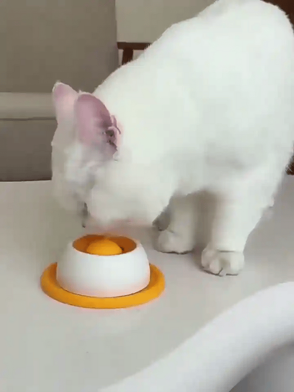 TILLFÄLLIGT 50% OFF  FeedFlow™