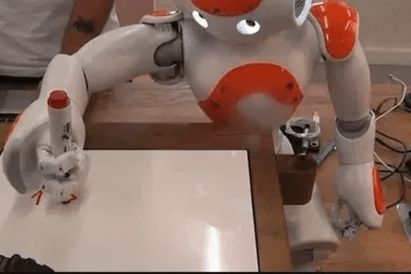 TILLFÄLLIGT 50% OFF  RoboBuddy™