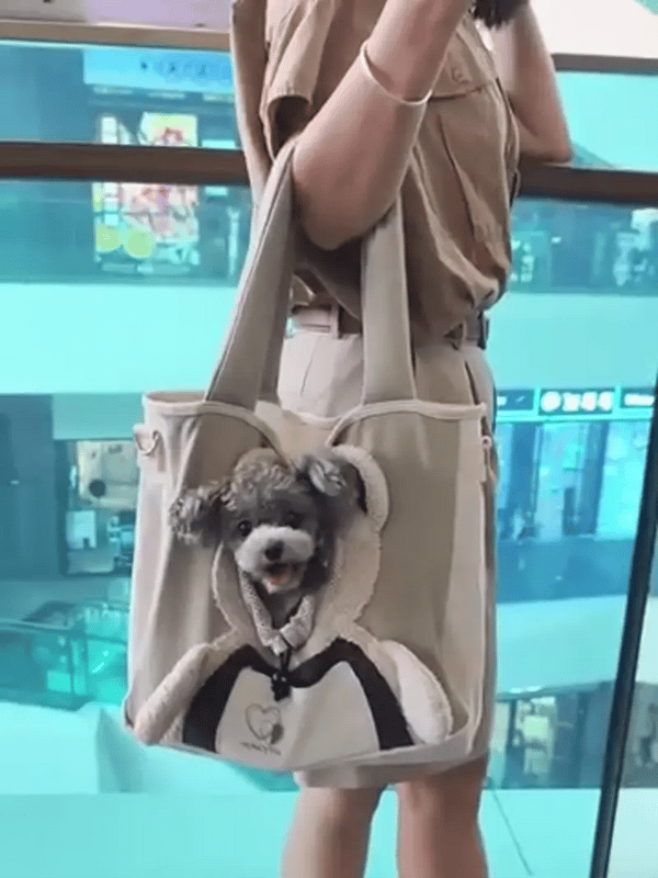 TILLFÄLLIGT 50% OFF  PawVenturer™