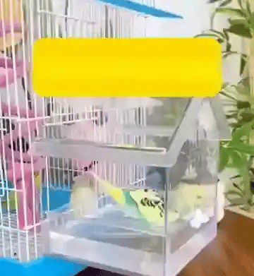 TILLFÄLLIGT 50% OFF  Aviara™