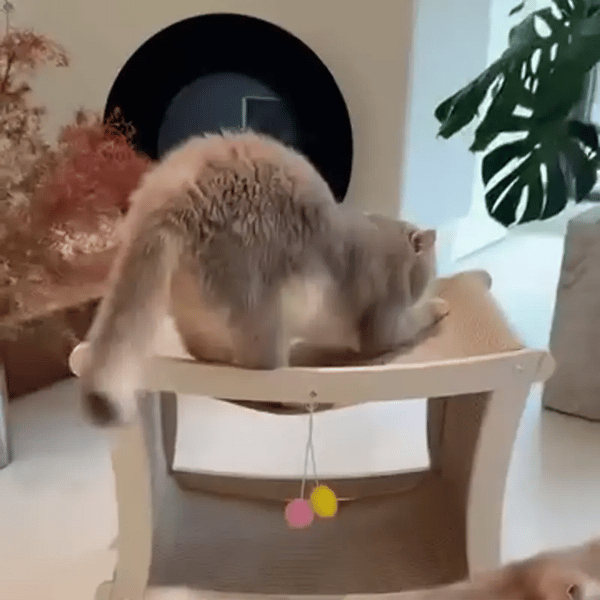 TILLFÄLLIGT 50% OFF  PawVilla™ 