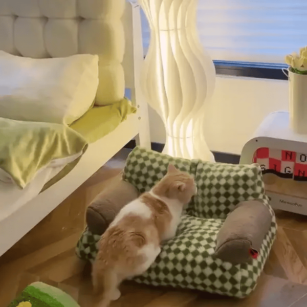 TILLFÄLLIGT 50% OFF  CozyLounge™