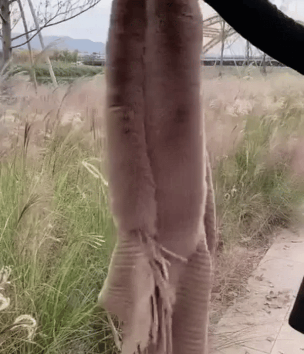 TILLFÄLLIGT 50% OFF  3-in-1 Shawluxe™