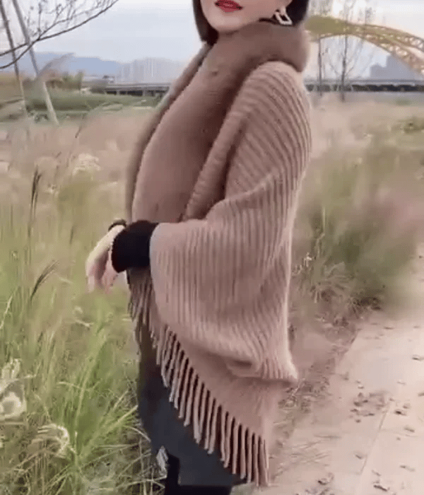 TILLFÄLLIGT 50% OFF  3-in-1 Shawluxe™