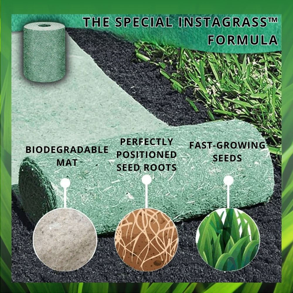 InstaGrass™ | Få en frodig, grön gräsmatta året runt!