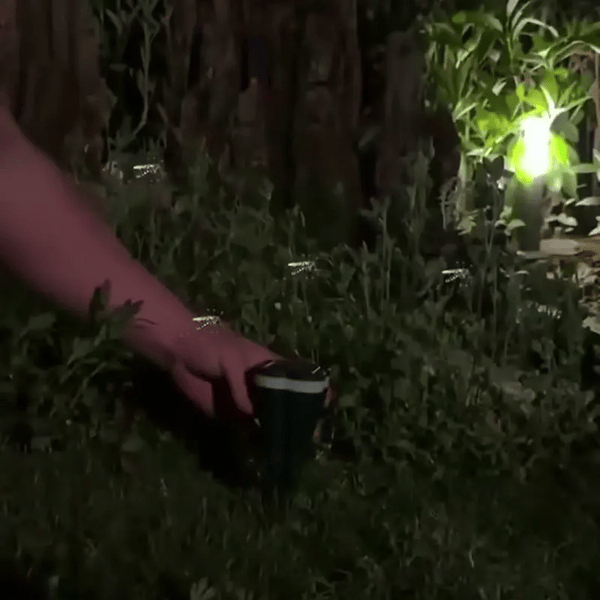 1 + 1 GRATIS IDAG  SolarGuard™