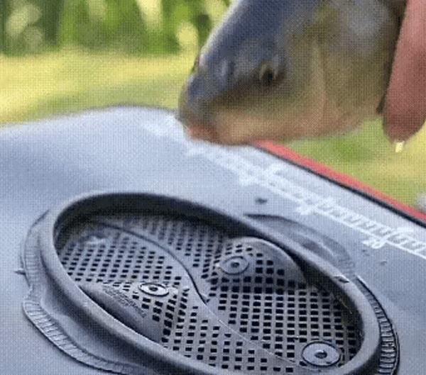 TILLFÄLLIGT 50% OFF  CatchKeeper™