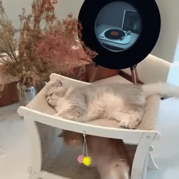 TILLFÄLLIGT 50% OFF  PawVilla™ 