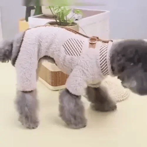 TILLFÄLLIGT 50% OFF  SnugPaw™