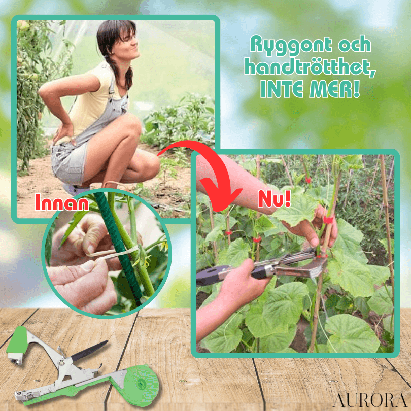 PlantTie™ | Bind växter minst 3 gånger snabbare! | 60% RABATT TILLFÄLLIGT - Aurora Stockholm