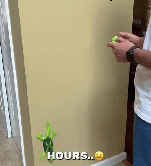 TILLFÄLLIGT 50% OFF  CrawliesBot™