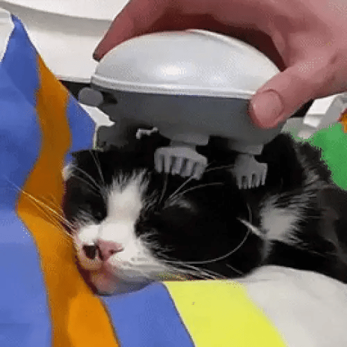 TILLFÄLLIGT 50% OFF  PawZen™