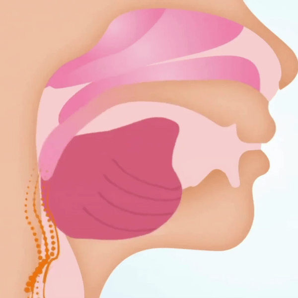 TILLFÄLLIGT 50% OFF  SnoreAway™