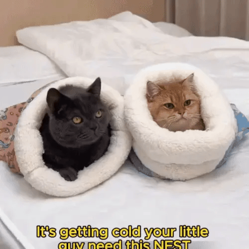 1 + 1 GRATIS IDAG  PurrSack™