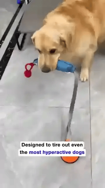 TILLFÄLLIGT 50% OFF  RuffTug™