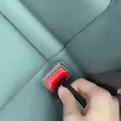 TILLFÄLLIGT 50% OFF  PawSeat™