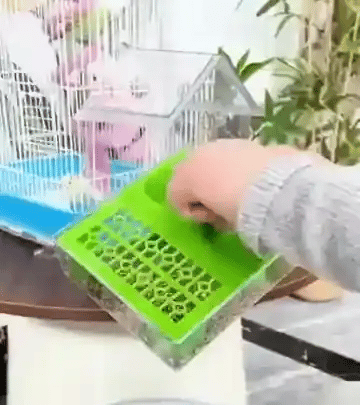 TILLFÄLLIGT 50% OFF  Aviara™