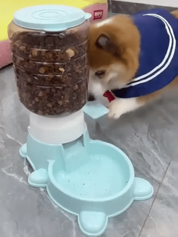 TILLFÄLLIGT 50% OFF  PawSmart™