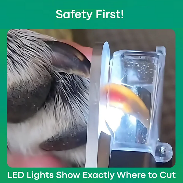 TILLFÄLLIGT 50% OFF  PawProtec™