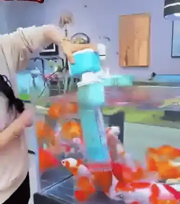 FilterFlow™ Akvariefilter för klart vatten