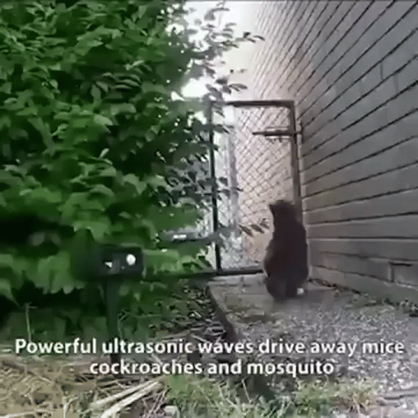 TILLFÄLLIGT 50% OFF  SolGuard™