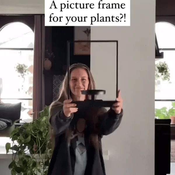 TILLFÄLLIGT 50% OFF  FloraView™