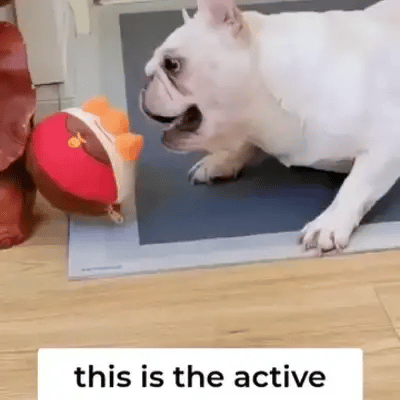 TILLFÄLLIGT 50% OFF  BouncePal™