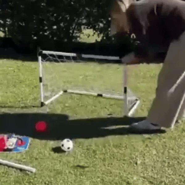 TILLFÄLLIGT 50% OFF  HoopKick™ 