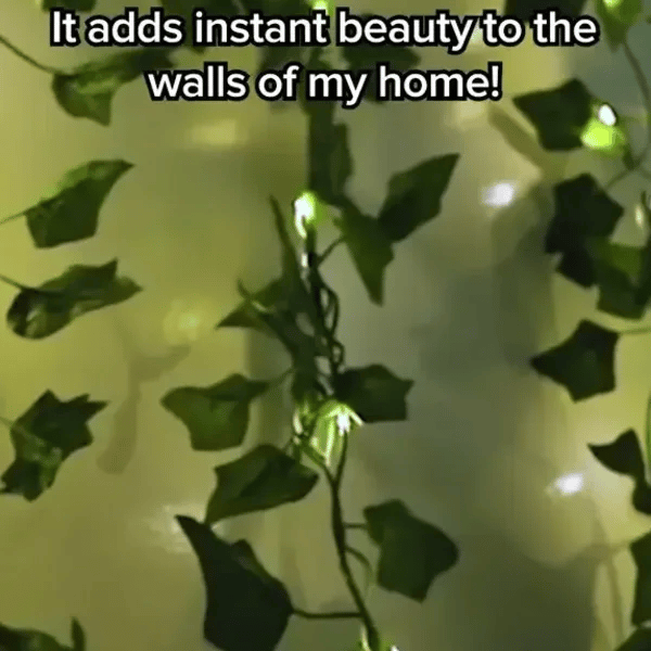 TILLFÄLLIGT 50% OFF  VineLustra™