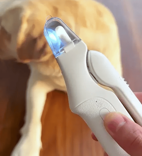 TILLFÄLLIGT 50% OFF  PawProtec™