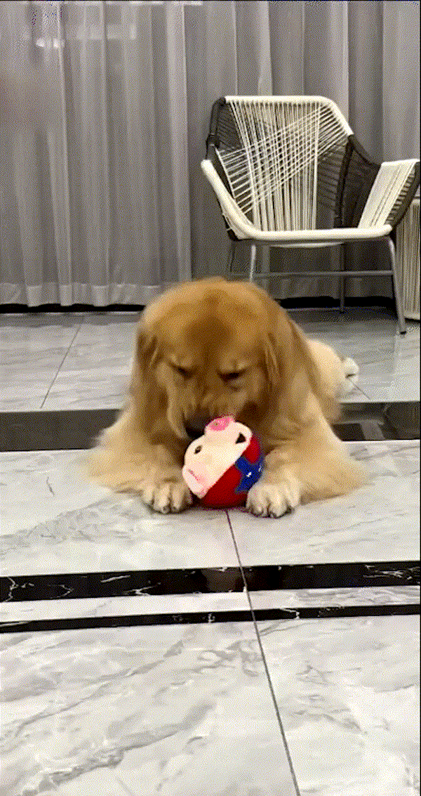 TILLFÄLLIGT 50% OFF  BouncePal™