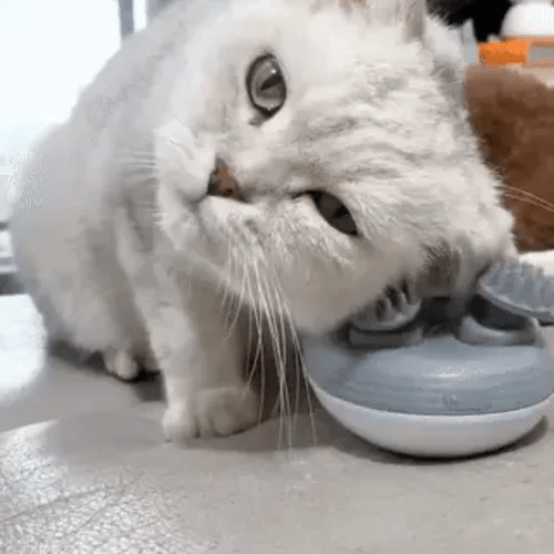TILLFÄLLIGT 50% OFF  PawZen™