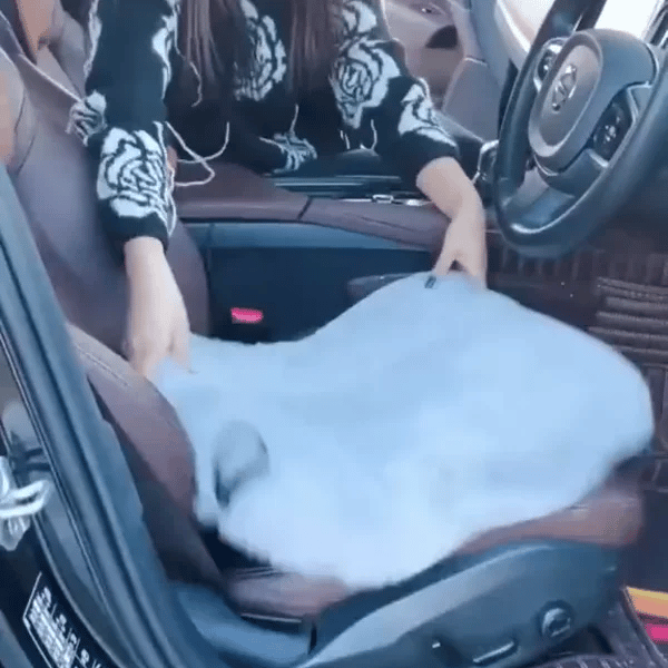 TILLFÄLLIGT 50% OFF  CozyRide™