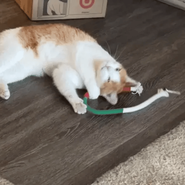 3 + 3 GRATIS IDAG  KittyKnot™ 