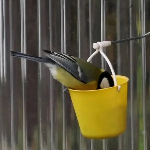 TILLFÄLLIGT 50% OFF  TweetTreat™